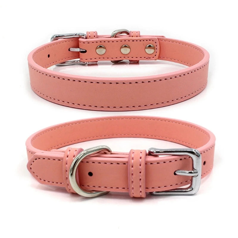 Small Dogs/ Cats Collars