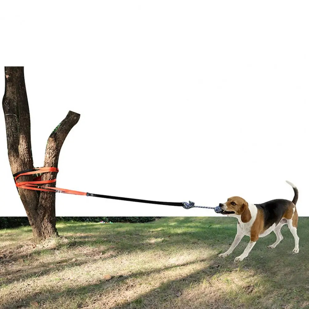 Dog Exercise Chew Toy