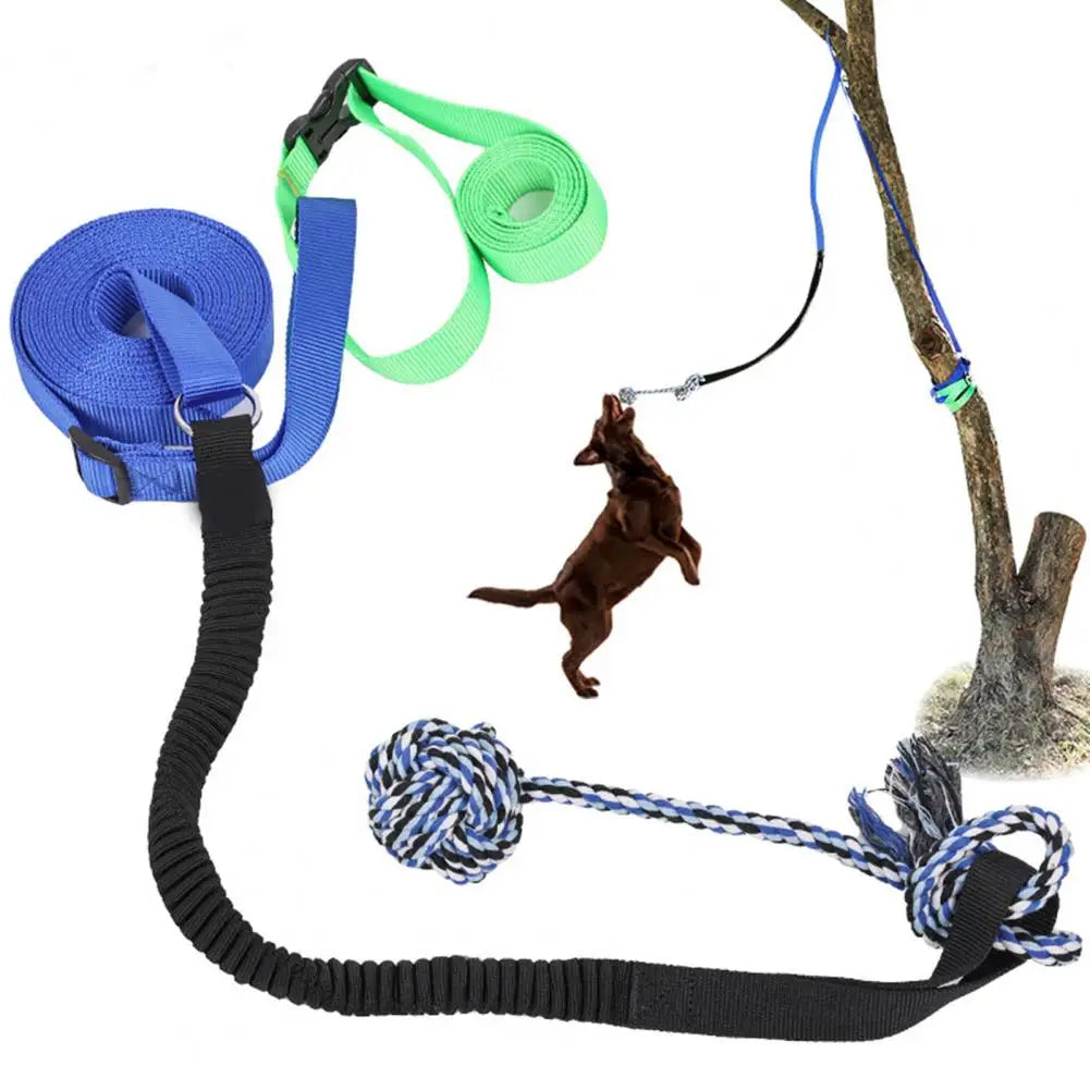 Dog Exercise Chew Toy