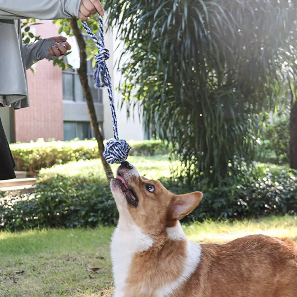 Dog Exercise Chew Toy