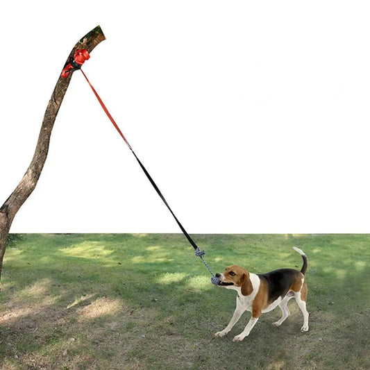 Dog Exercise Chew Toy