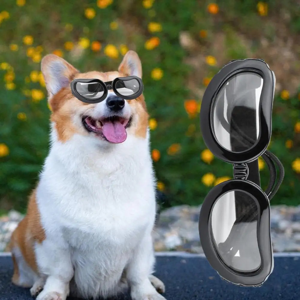 Pet Goggles Clear Vision Dustproof
