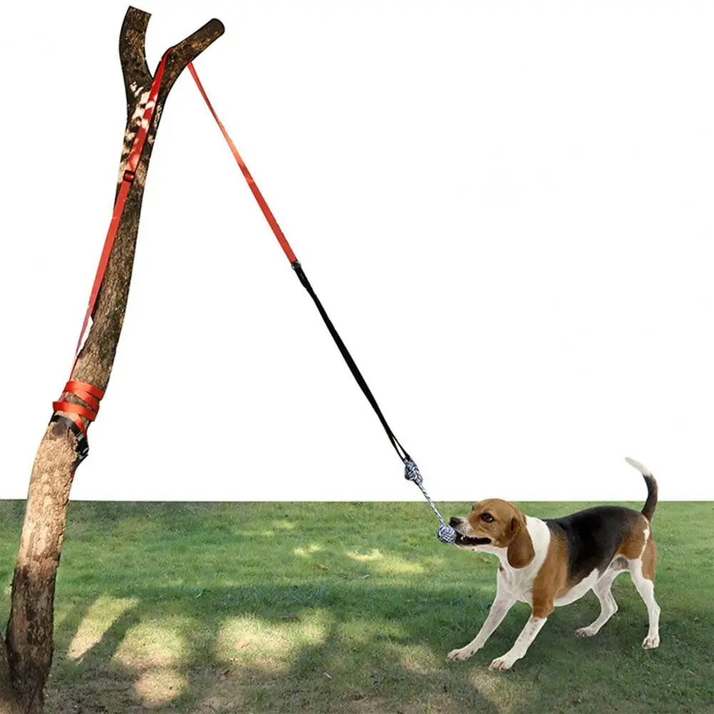Dog Exercise Chew Toy